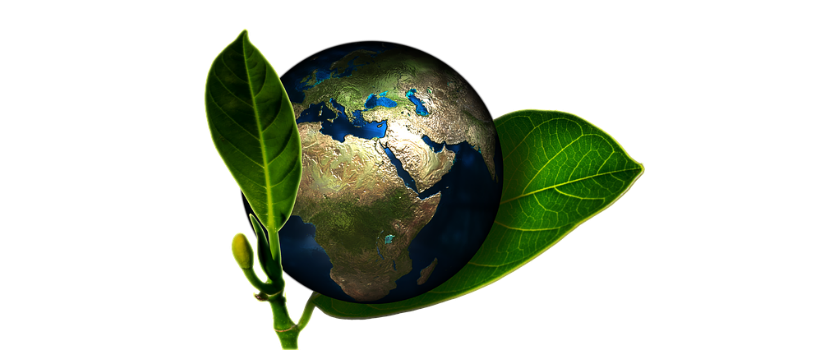 Understanding Screen Printing Inks