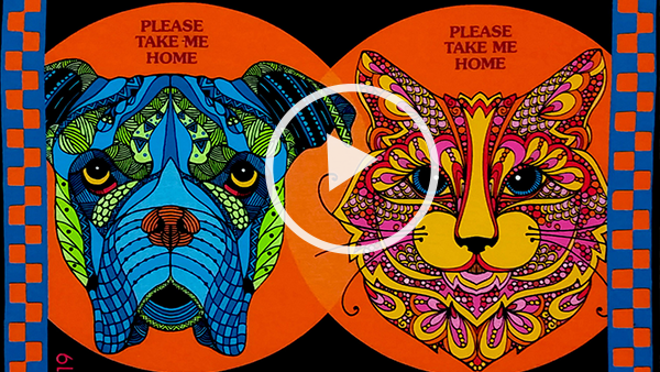 Understanding Screen Printing Inks