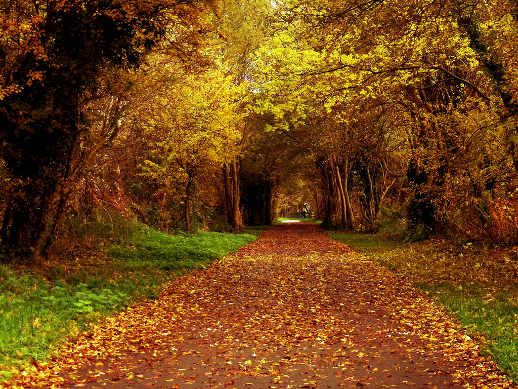 Understanding Screen Printing Inks