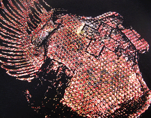 Understanding Screen Printing Inks