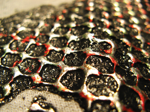 Special Seminar At ISS Columbus, Ohio