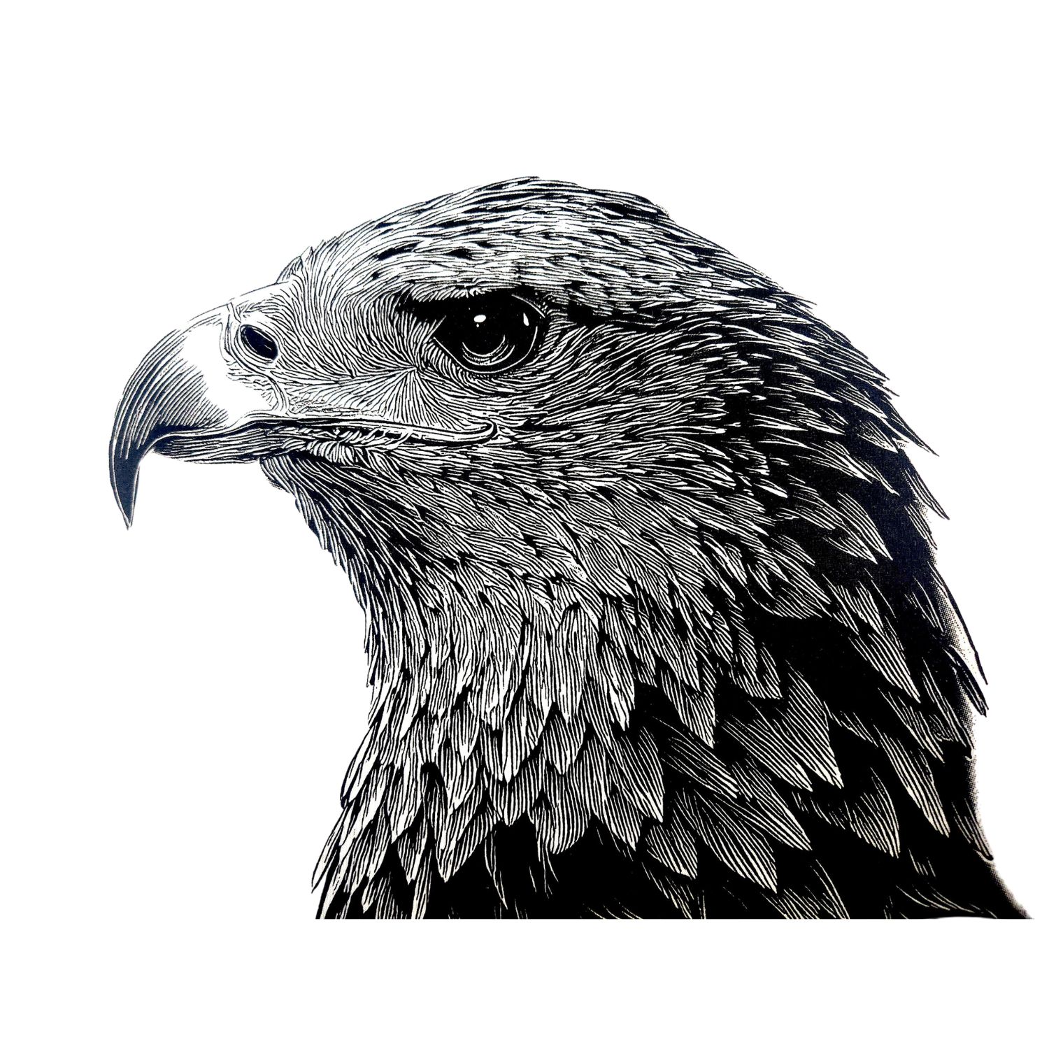 Introducing New and Improved Ultimate Black™