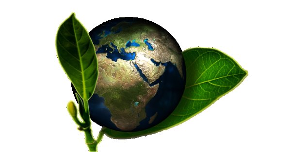 6 Ways to be an Eco-Conscious Shop