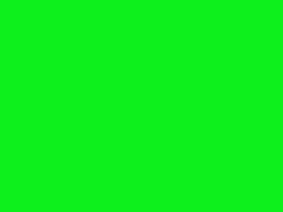 All-Pro™ Fluorescent Green 938
