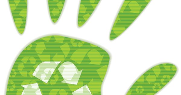 What challenges do shops face when making the decision to go green?